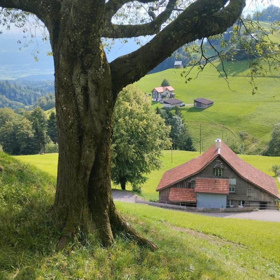 Dom Wiejski Artur Goldingen Bagian luar foto